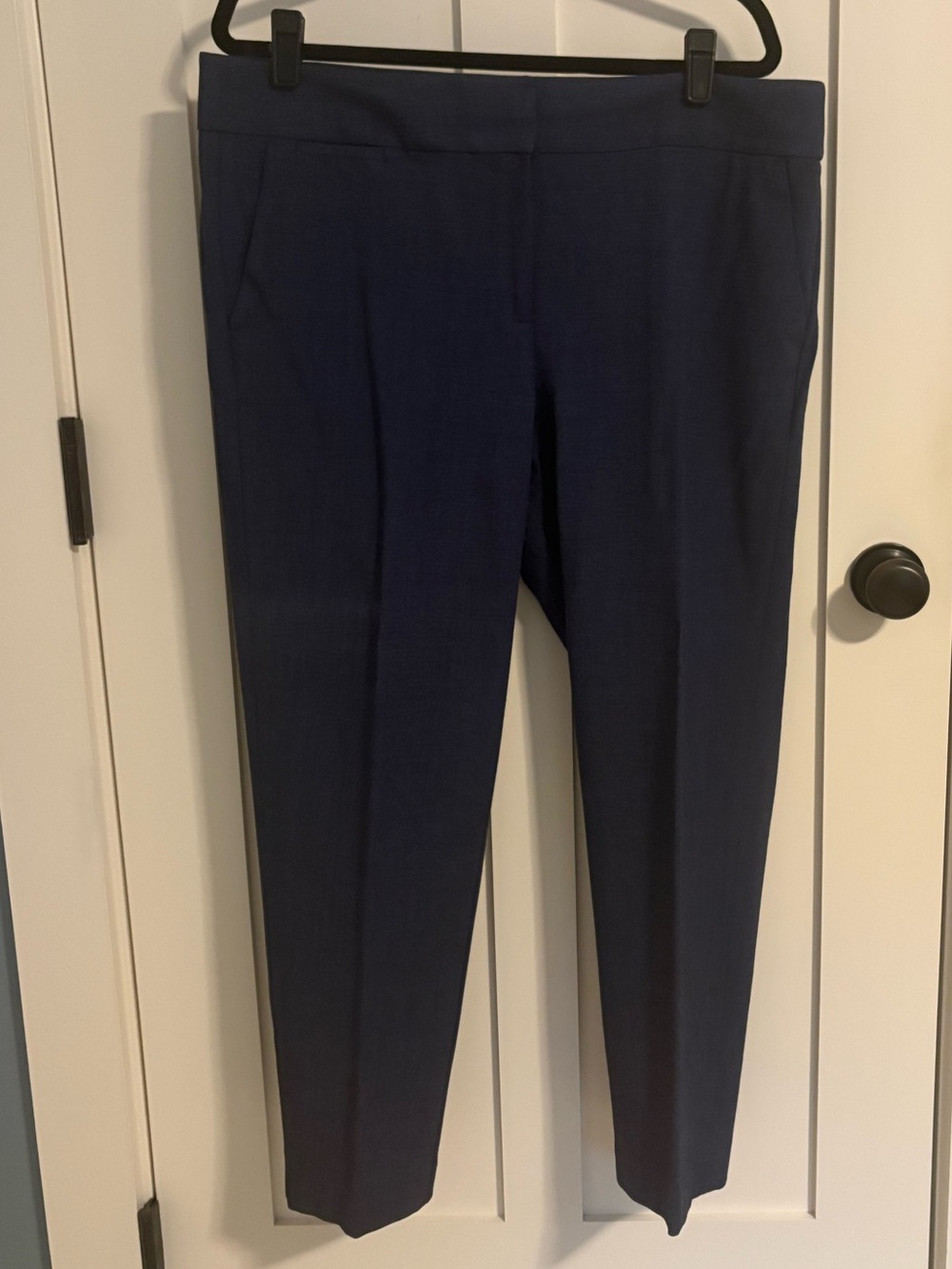 Ann Taylor LOFT Blue Textured Ankle Pant